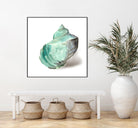 Shell in Mint by Aimee Wilson on GIANT ART - abstract