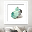 Shell in Mint by Aimee Wilson on GIANT ART - abstract