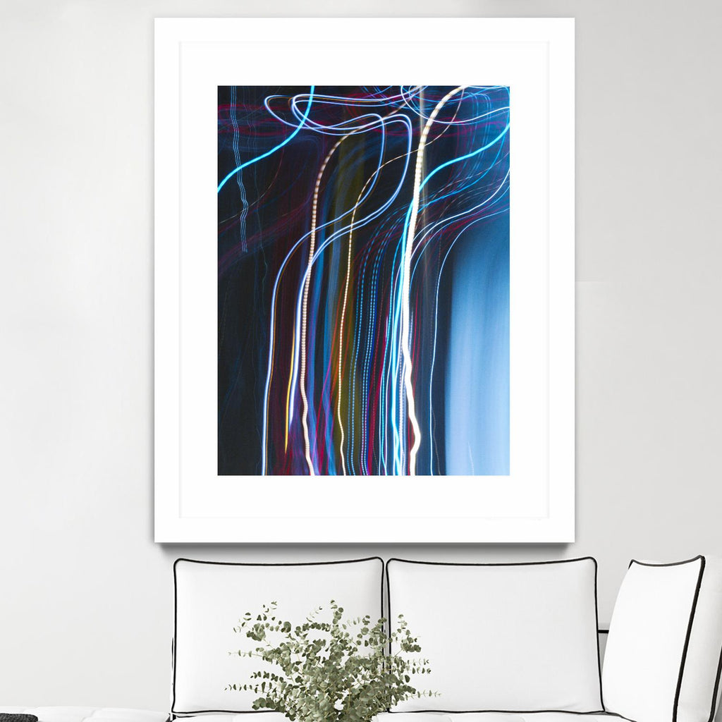 Stems III by William Cooke on GIANT ART - white abstract