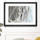 Crosswinds I by William Cooke on GIANT ART - white abstract