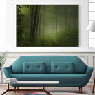 Maier - Forest Morning by 1X on GIANT ART - black trees