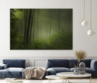 Maier - Forest Morning by 1X on GIANT ART - black trees