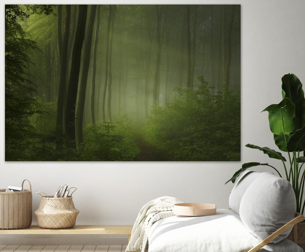 Maier - Forest Morning by 1X on GIANT ART - black trees