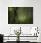Maier - Forest Morning by 1X on GIANT ART - black trees