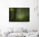 Maier - Forest Morning by 1X on GIANT ART - black trees