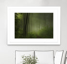 Maier - Forest Morning by 1X on GIANT ART - black trees