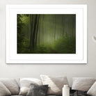 Maier - Forest Morning by 1X on GIANT ART - black trees