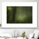 Maier - Forest Morning by 1X on GIANT ART - black trees