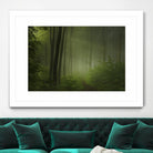 Maier - Forest Morning by 1X on GIANT ART - black trees
