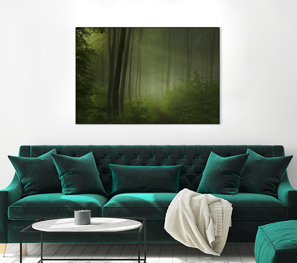 Maier - Forest Morning by 1X on GIANT ART - black trees