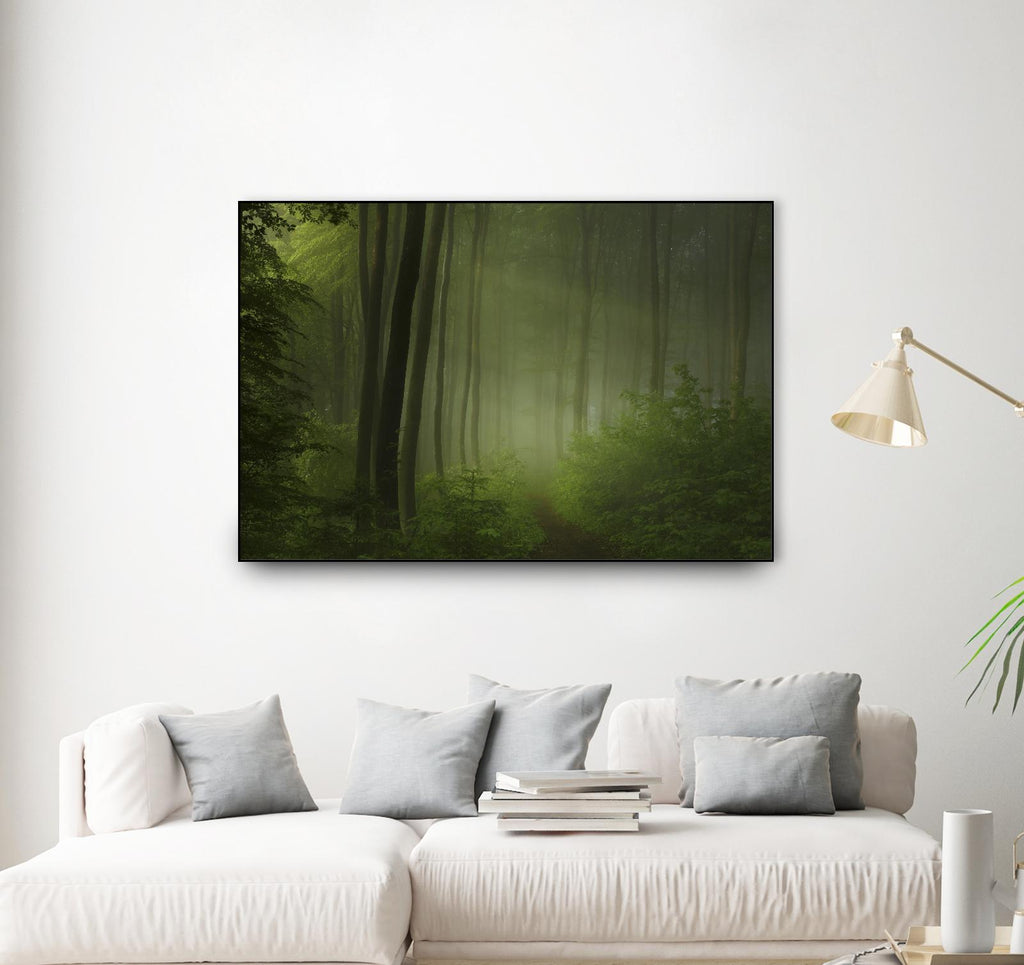 Maier - Matin de forêt par 1X sur GIANT ART - arbres noirs
