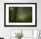 Maier - Forest Morning by 1X on GIANT ART - black trees