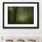 Maier - Forest Morning by 1X on GIANT ART - black trees