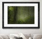 Maier - Forest Morning by 1X on GIANT ART - black trees