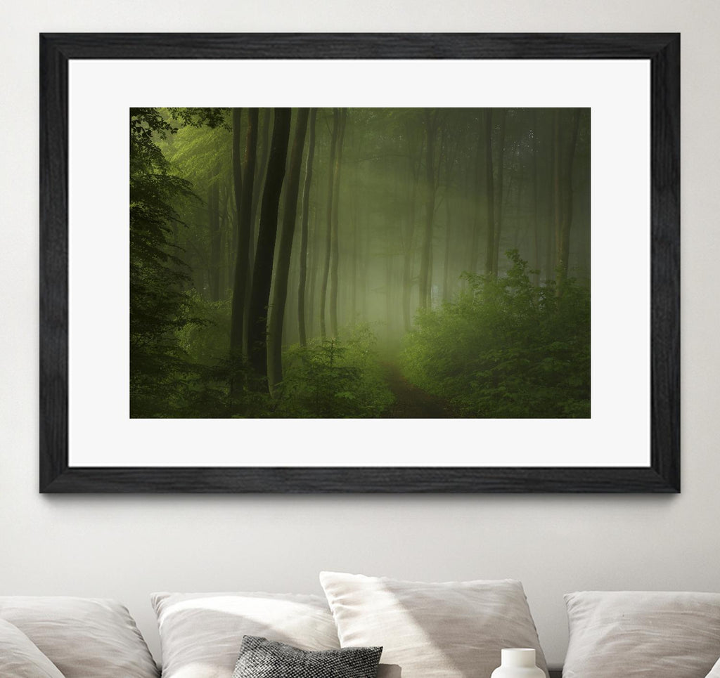 Maier - Matin de forêt par 1X sur GIANT ART - arbres noirs