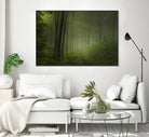 Maier - Forest Morning by 1X on GIANT ART - black trees