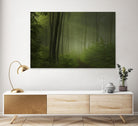 Maier - Forest Morning by 1X on GIANT ART - black trees