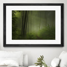 Maier - Forest Morning by 1X on GIANT ART - black trees