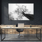 Wrobel - Between Heaven and Earth by 1X on GIANT ART - black trees