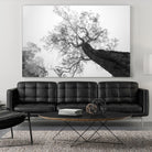 Wrobel - Between Heaven and Earth by 1X on GIANT ART - black trees