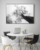 Wrobel - Between Heaven and Earth by 1X on GIANT ART - black trees