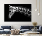 Williams - Calf by 1X on GIANT ART - white animals
