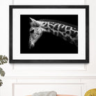 Williams - Calf by 1X on GIANT ART - white animals