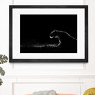 Amot - Untitled by 1X on GIANT ART - white animals