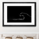 Amot - Untitled by 1X on GIANT ART - white animals