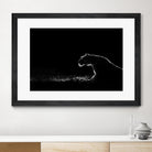 Amot - Untitled by 1X on GIANT ART - white animals