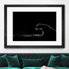 Amot - Untitled by 1X on GIANT ART - white animals