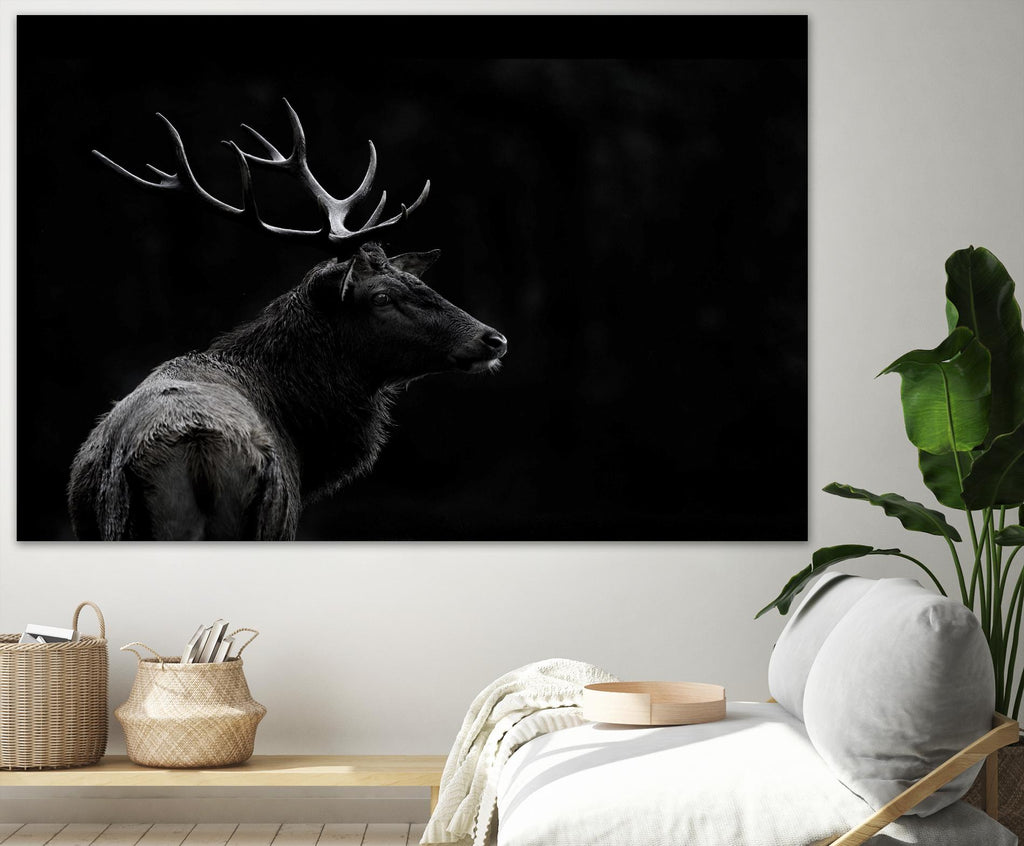 The Deer Soul by PEI 1X on GIANT ART - white black & white deer