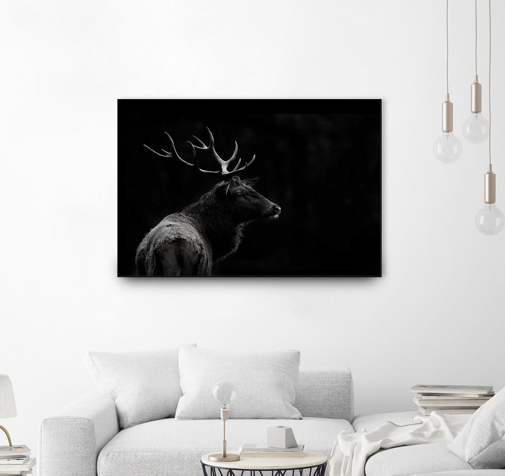 The Deer Soul by PEI 1X on GIANT ART - white black & white deer