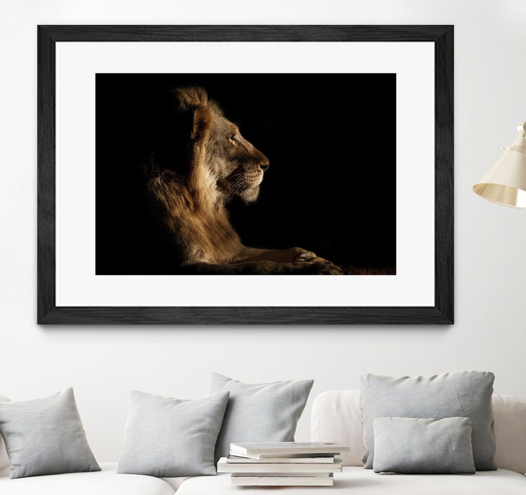 Royal Meeting in the Night by Hemb 1X on GIANT ART - black animals