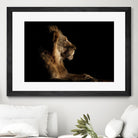 Royal Meeting in the Night by Hemb 1X on GIANT ART - black animals