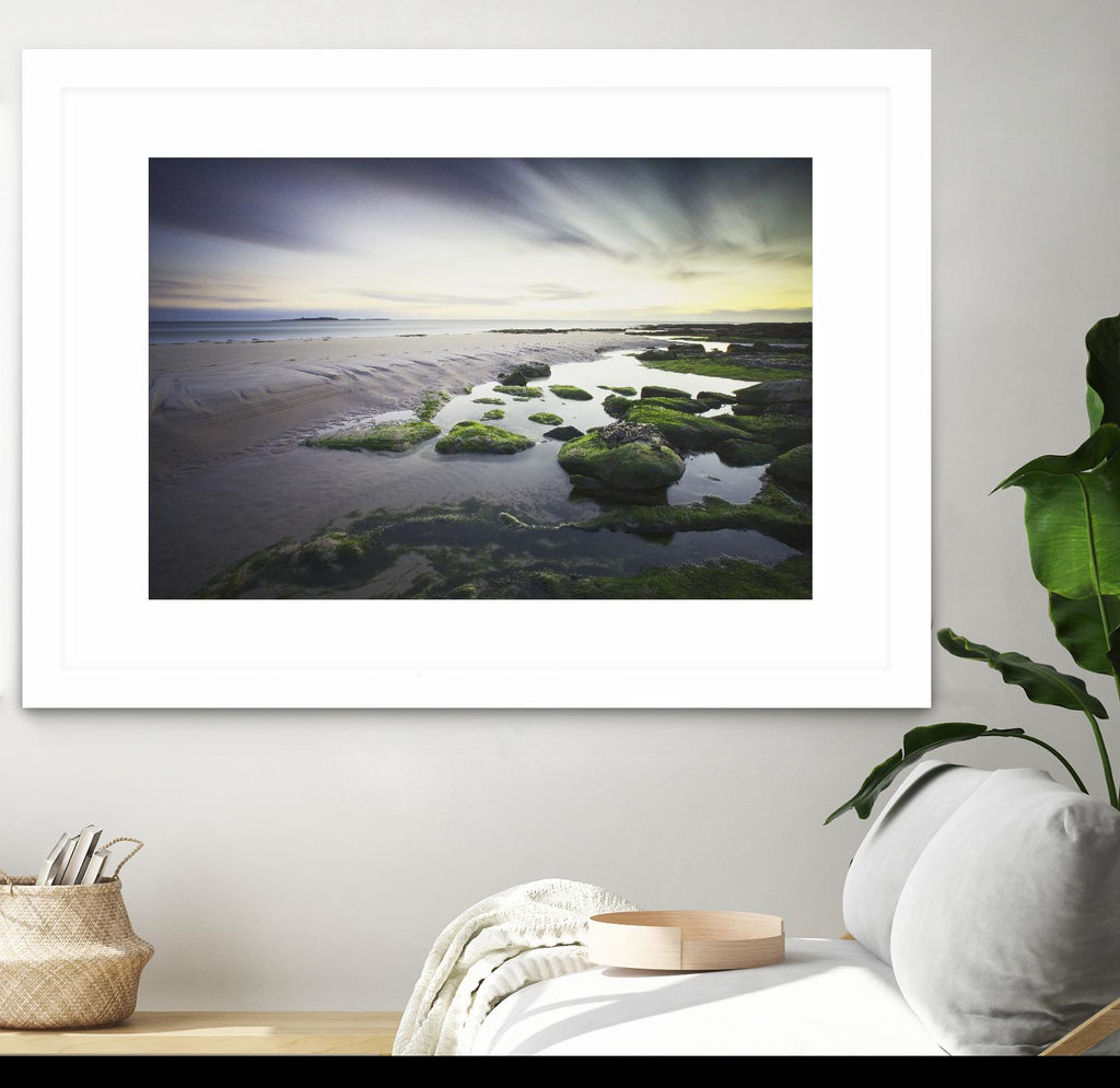 Cooper - Dawn over Seahouses Beach by 1X on GIANT ART - grey photo art