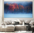 Li - Fall Impression III by 1X on GIANT ART - blue photo art