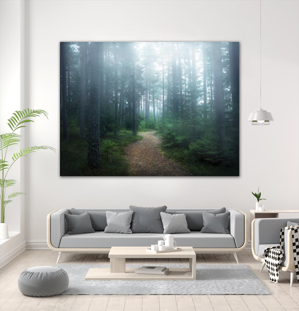 Lindsten - The forest of secrets par 1X sur GIANT ART - art photo brun