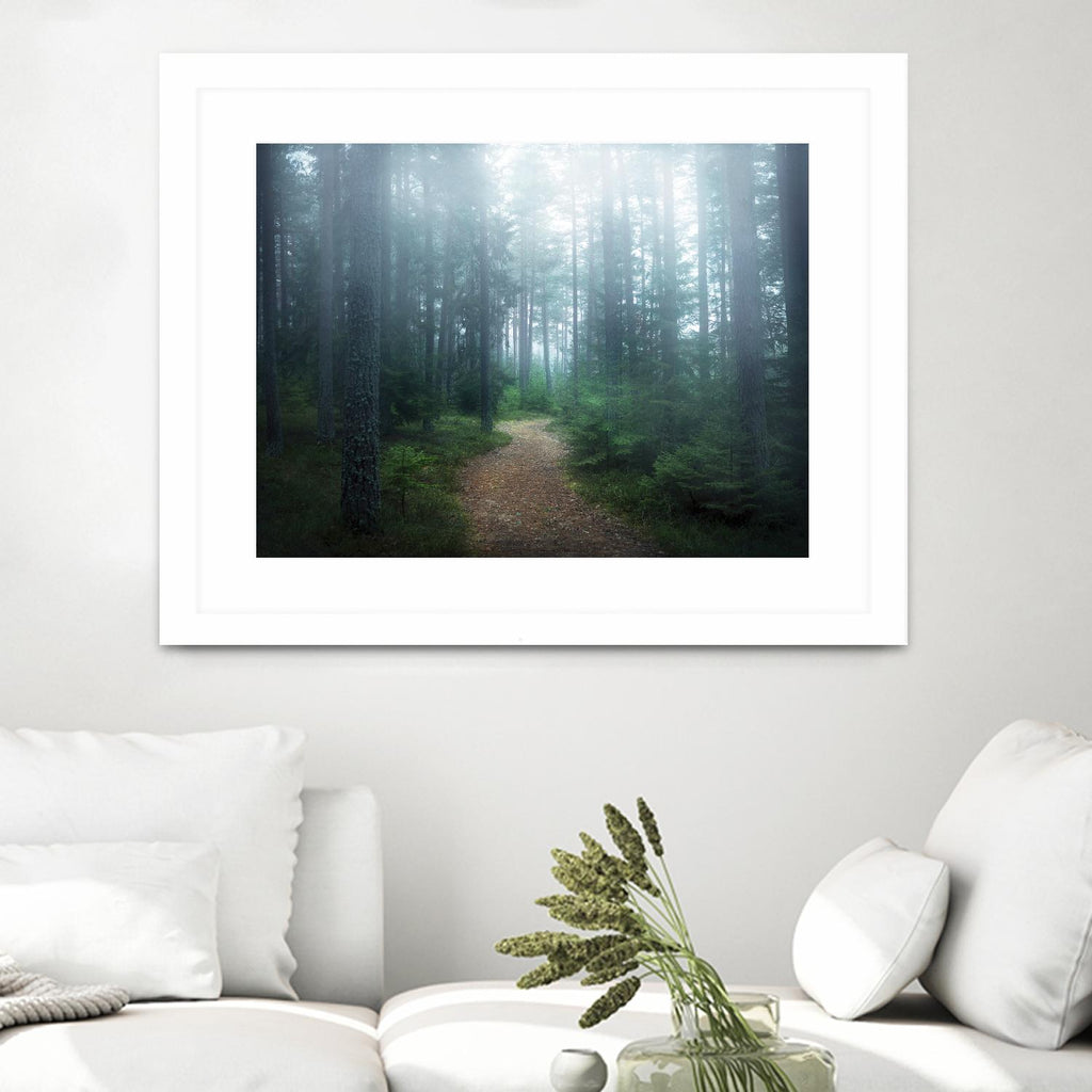 Lindsten - The forest of secrets par 1X sur GIANT ART - art photo brun