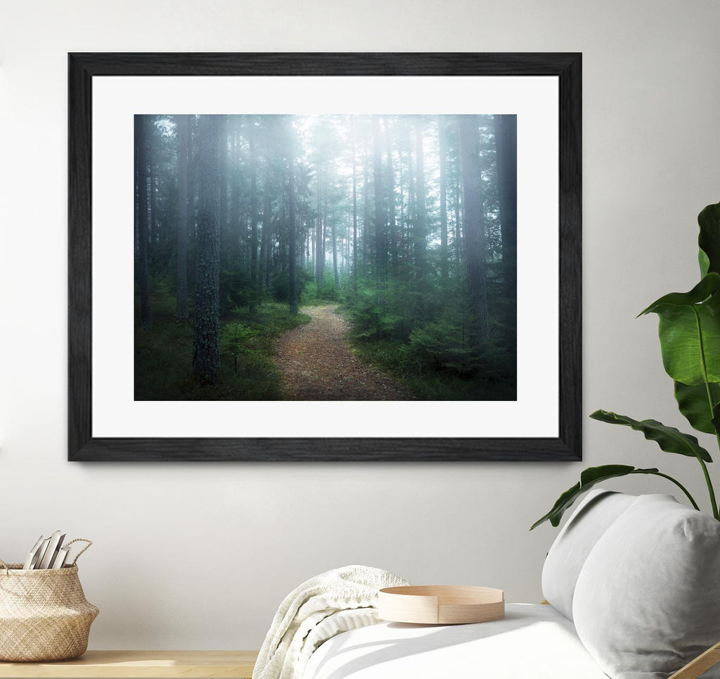Lindsten - The forest of secrets by 1X on GIANT ART - brown photo art