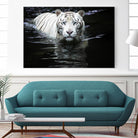 Doyle - Looking at Me Looking at You by 1X on GIANT ART - white photo art