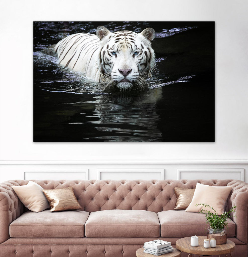 Doyle - Looking at Me Looking at You by 1X on GIANT ART - white photo art