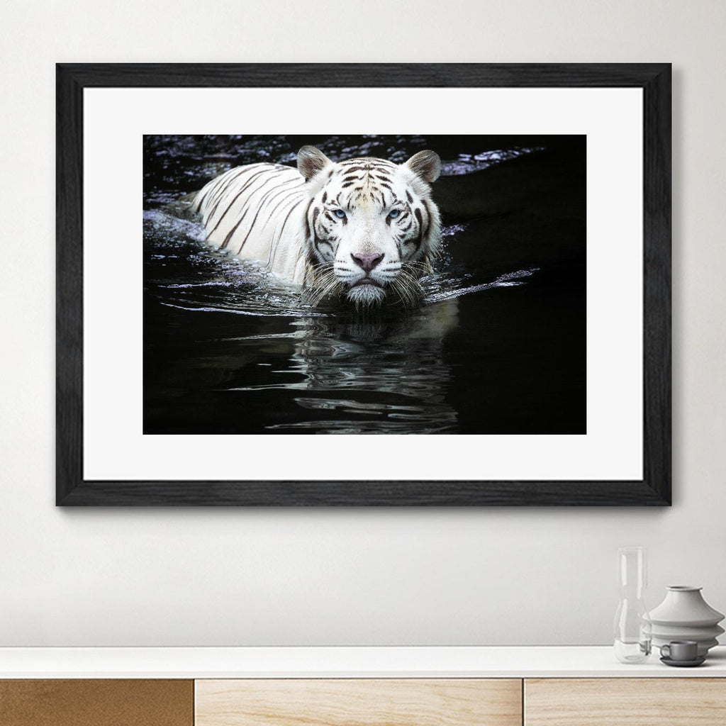 Doyle - Looking at Me Looking at You by 1X on GIANT ART - white photo art