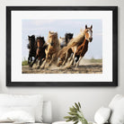 Wong - Lucky Six by 1X on GIANT ART - blue photo art