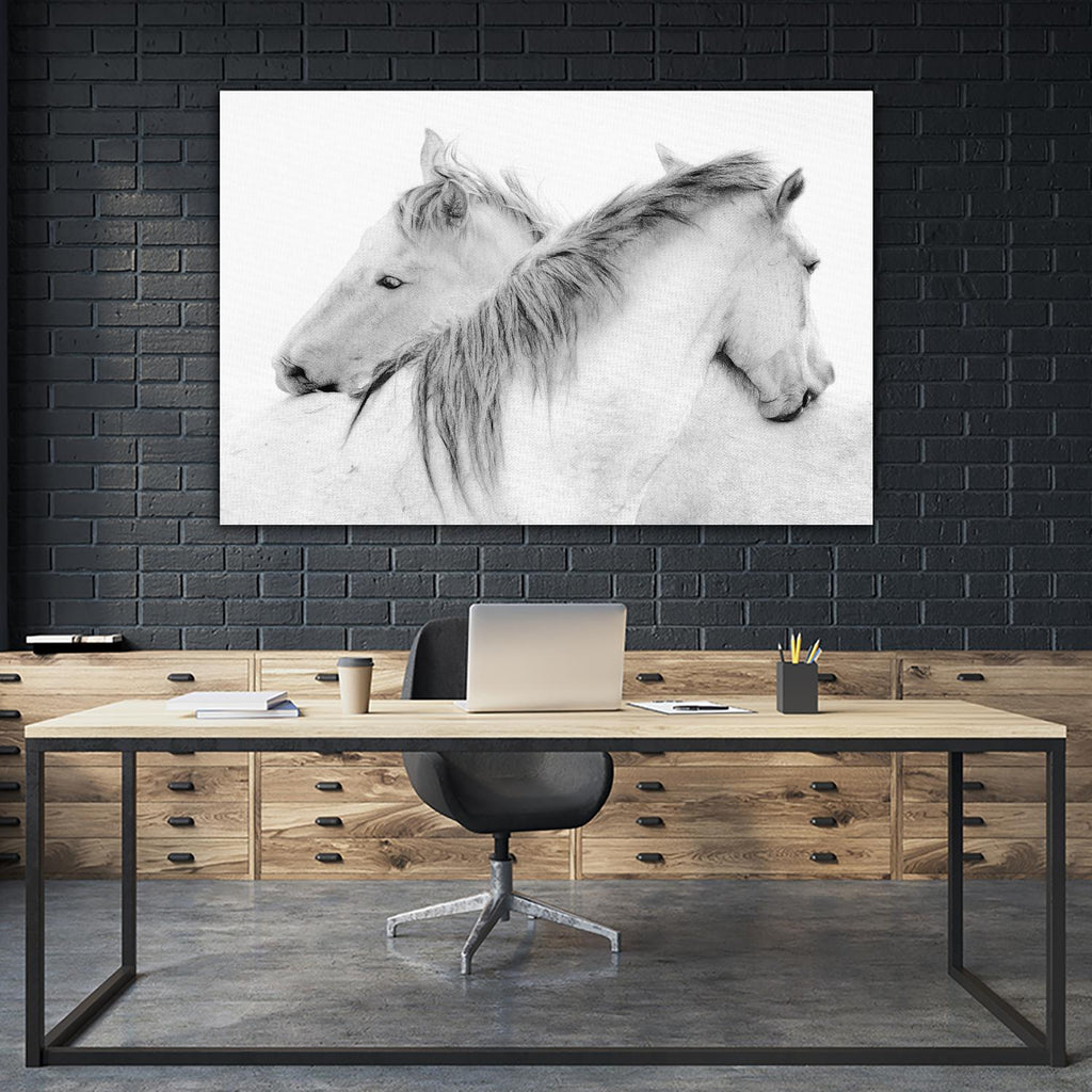 Stas - Horses par 1X sur GIANT ART - photo d'art blanc