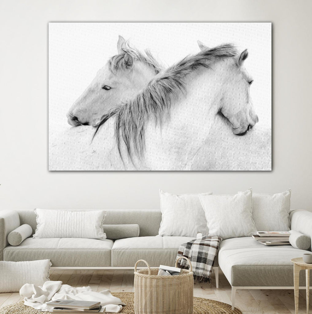 Stas - Horses by 1X on GIANT ART - white photo art