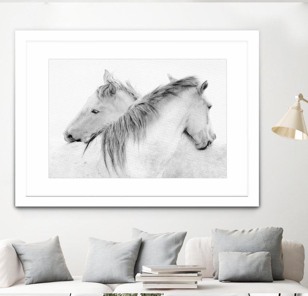 Stas - Horses by 1X on GIANT ART - white photo art