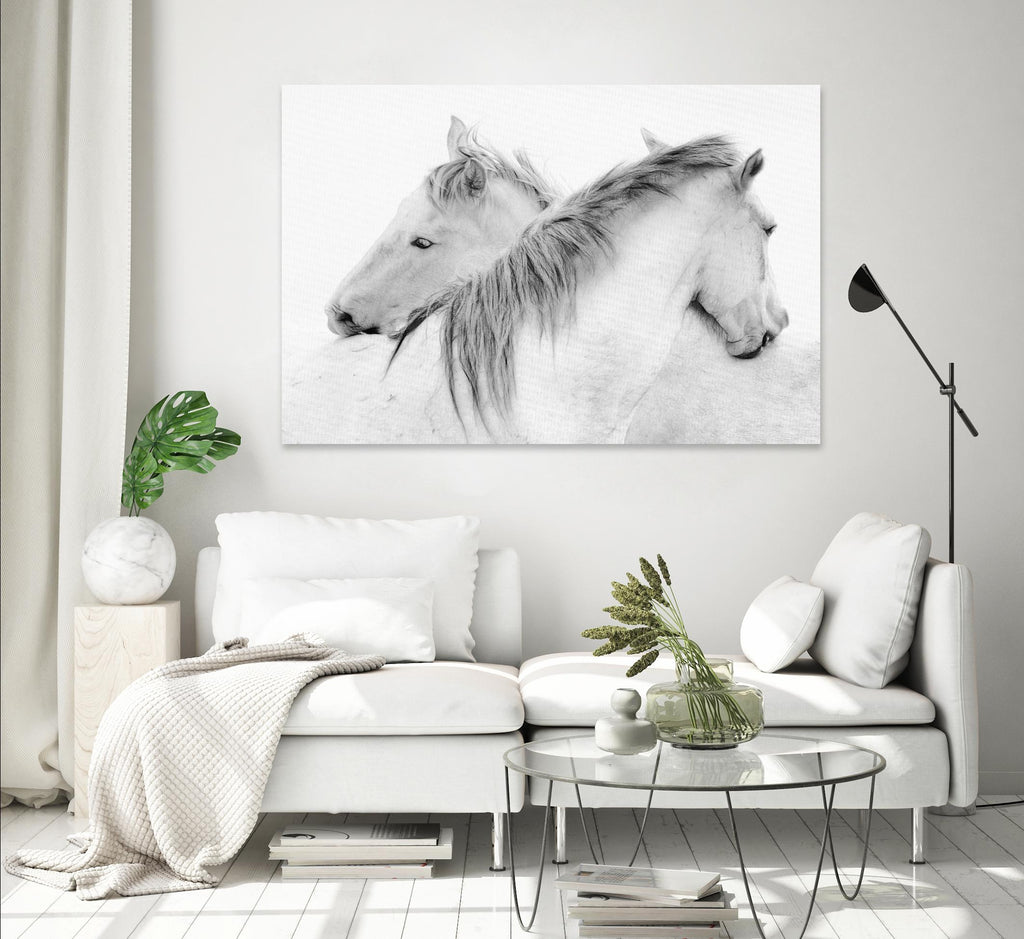 Stas - Horses par 1X sur GIANT ART - photo d'art blanc