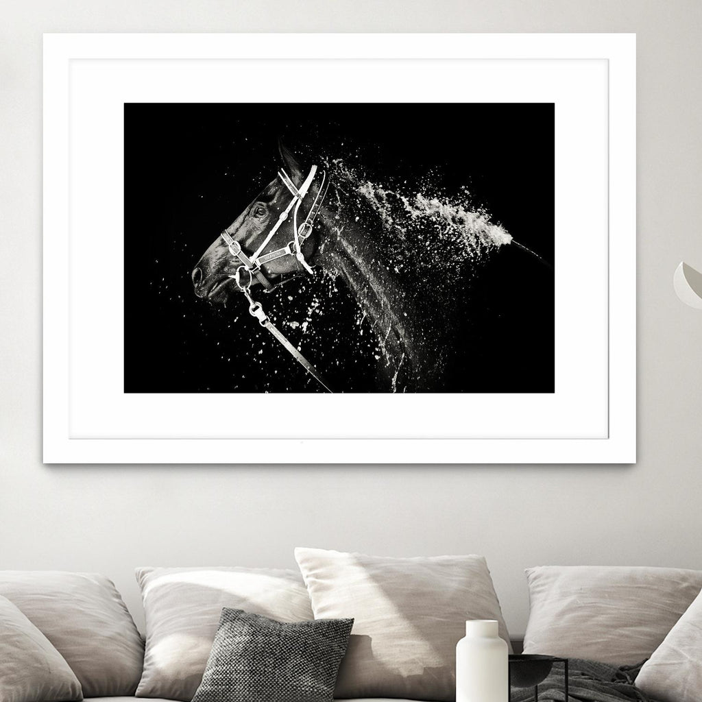 Lee Chapman - The Hose Down by 1X on GIANT ART - grey photo art