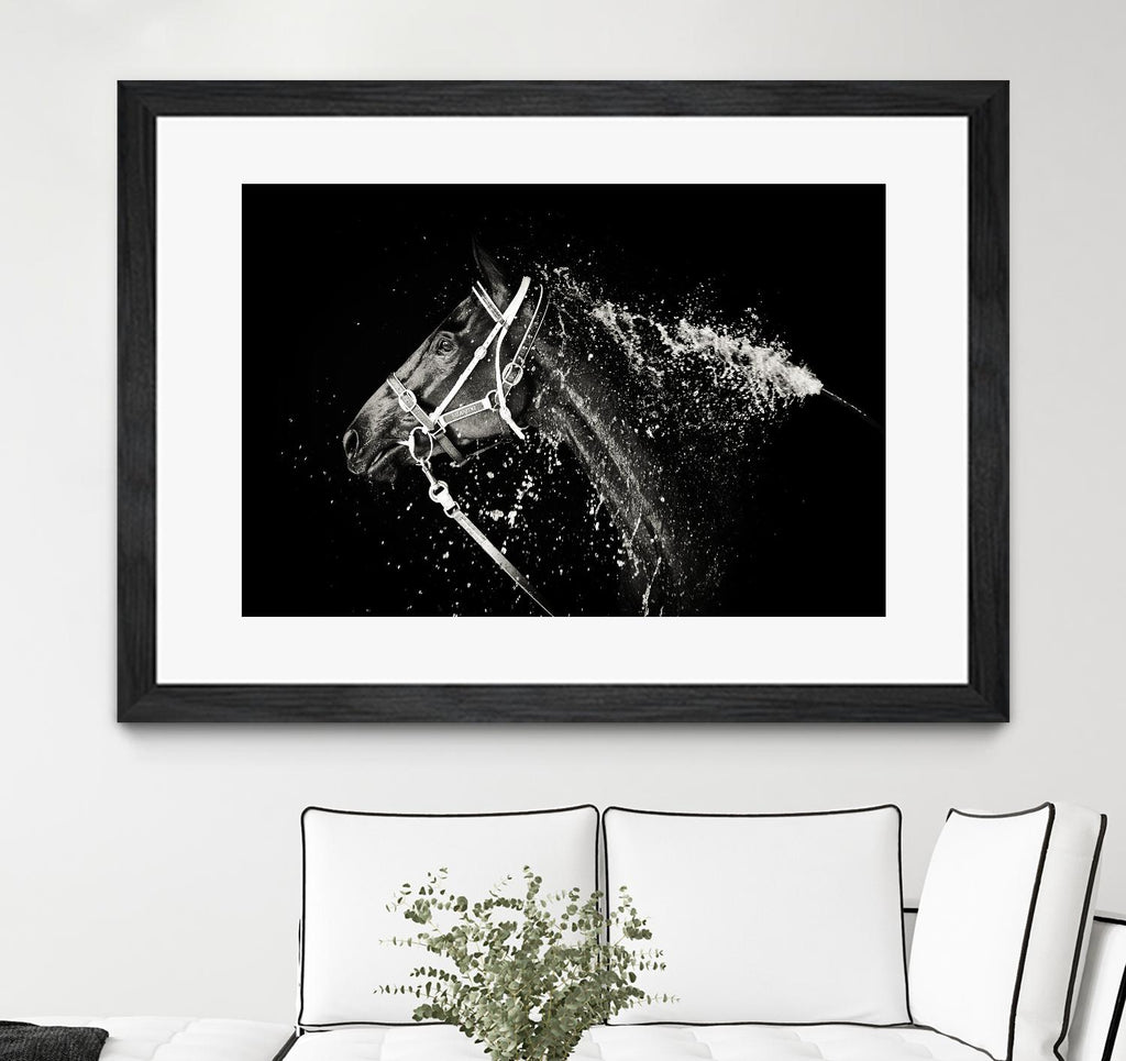 Lee Chapman - The Hose Down by 1X on GIANT ART - grey photo art